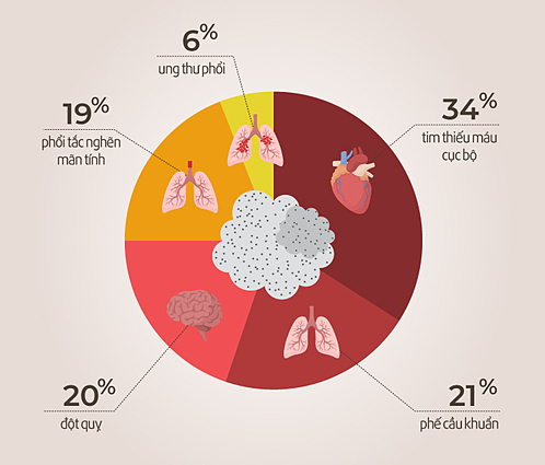Ô nhiễm không khí ảnh hưởng đến các bộ phận khác của cơ thể