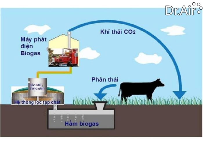 Quy trình biogas