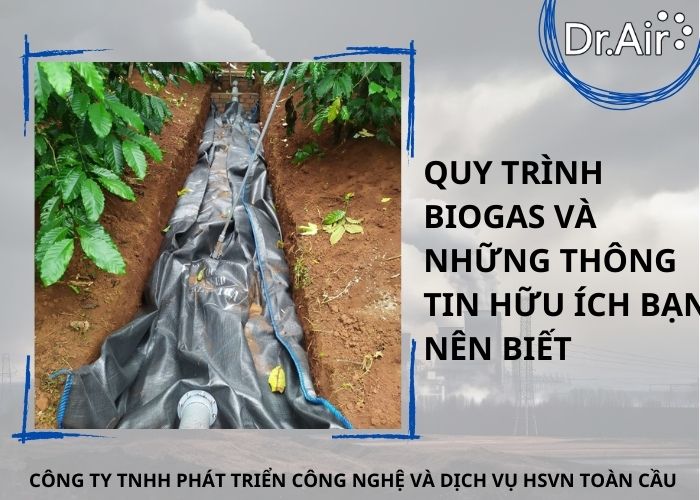 Quy trình biogas và những thông tin hữu ích bạn nên biết