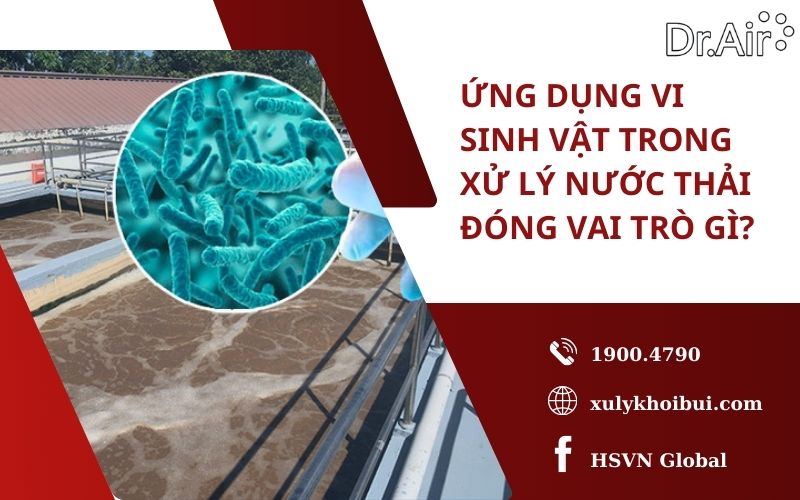 Ứng dụng vi sinh vật trong xử lý nước thải đóng vai trò gì?