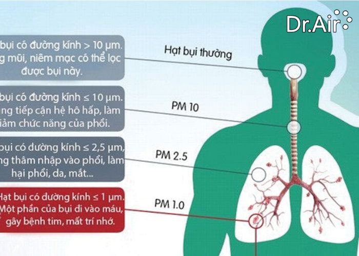 Tác động của ô nhiễm không khí