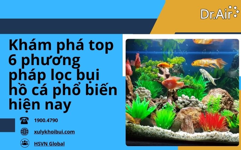 lọc bụi hồ cá