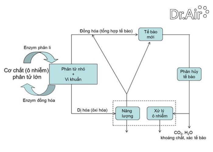 xử lý nước thải bằng phương pháp sinh học hiếu khí