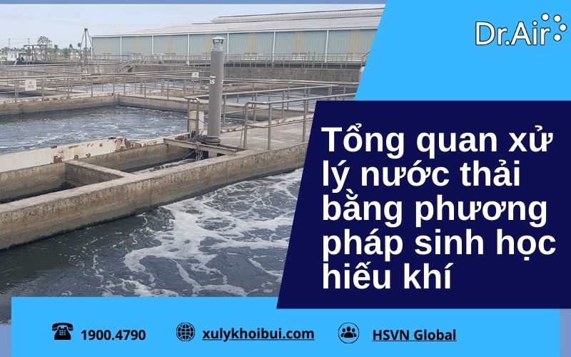 xử lý nước thải bằng phương pháp sinh học hiếu khí