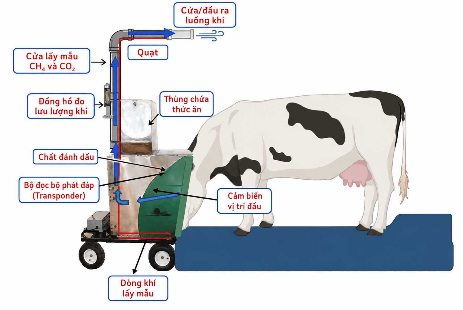Minh hoạt cách lấy mẫu khảo sát khí thải chăn nuôi trên động vật